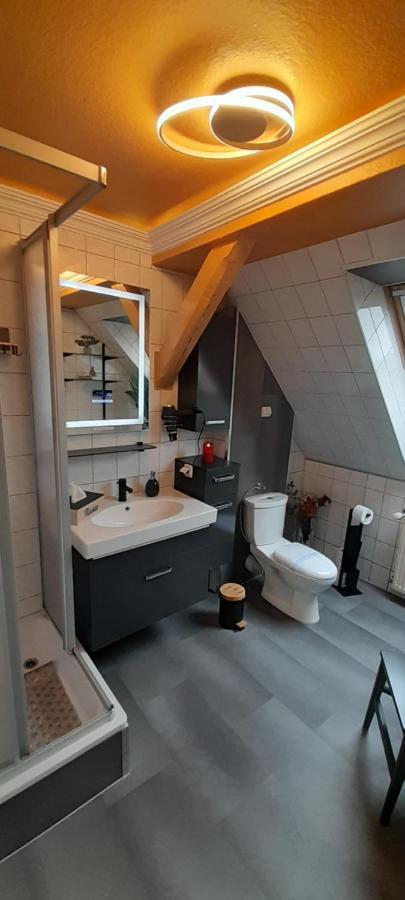 Best-Preis -Vip Lounge- Mit Netflix, Self-Check-In, Ebike Ladestation, Fahrradraum, Wlan Und Netflix - Direkt Am Elberadweg Im Herzen Von Виттенберге Экстерьер фото